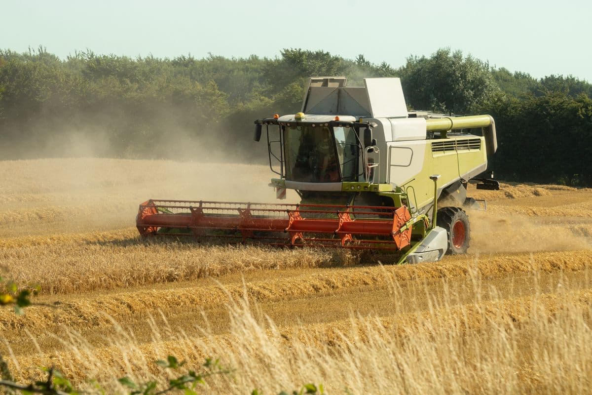 Agricultura